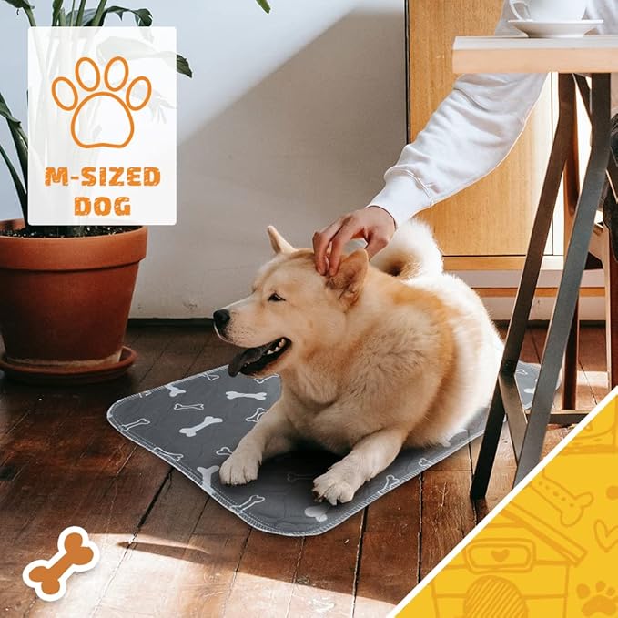 2pack Washable Pee Pads for Dogs, 41×36 Inch Reusable Dog Pads, Non Slip Puppy Pads with Urine Absorption, Reusable Puppy Pads for Whelping, Potty, Training, Playpen