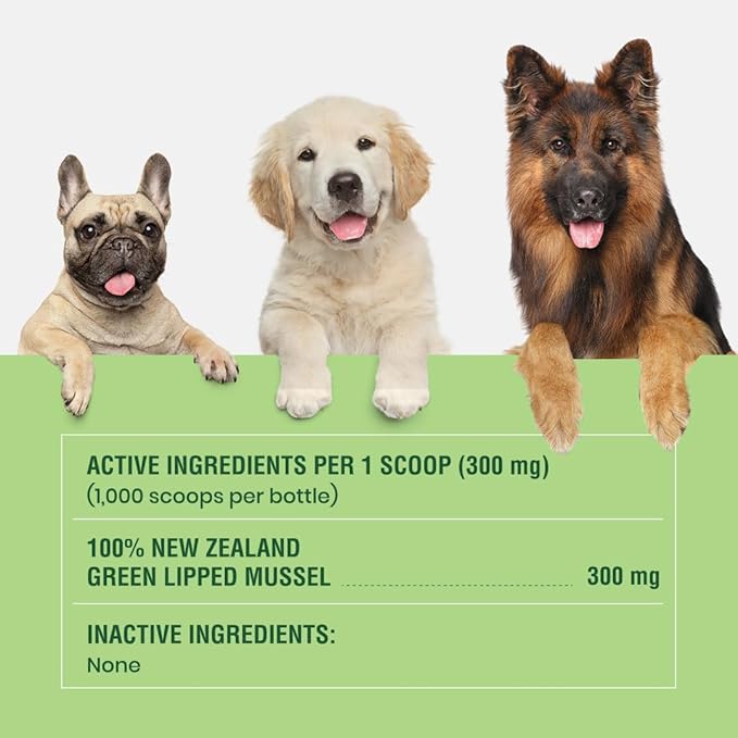 Green Lipped Mussels for Dogs & Cats - Premium Joint Supplement Powder for HIPS, Joints, and Muscles (300 Grams, Up to 1,000 Servings) - 2 Pack
