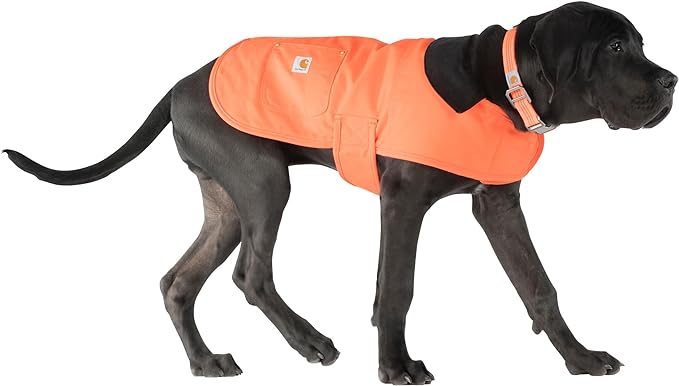 Carhartt Firm Duck Insulated Dog Chore Coat Hunter Orange/Brass LG