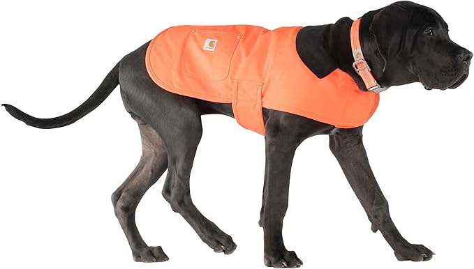 Carhartt Firm Duck Insulated Dog Chore Coat Hunter Orange/Brass, Small