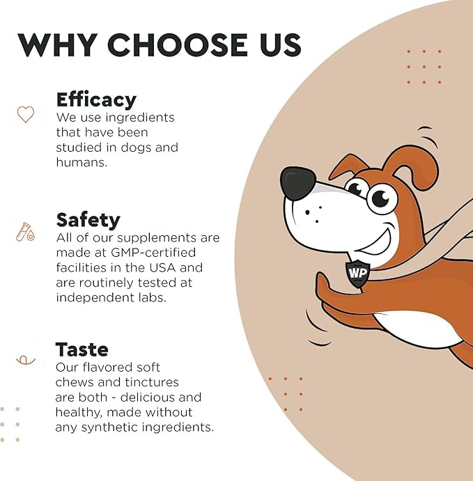 Immune Support Mushroom Powder for Dogs – Organic Mushroom Complex for Immunity, Cognition, Cellular Health, Longevity - With Turkey Tail Mushroom for Dogs, Reishi & Lions Mane – 90 Scoops