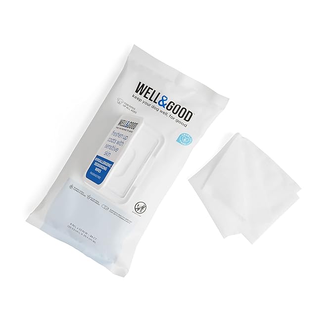 Petco Brand - Well & Good Hypoallergenic Deodorizing Dog Wipes, Pack of 24, 24 CT
