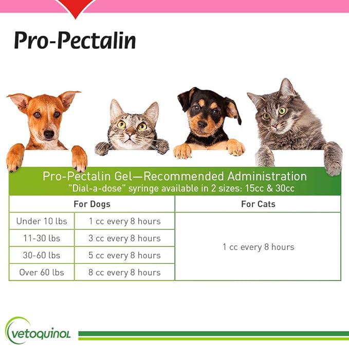 Vetoquinol Pro-Pectalin Oral Paste for Dogs & Cats – Chicken Flavor – Helps Reduce Occasional Loose Stool & Diarrhea, Balance Gut pH, Support Normal Digestion