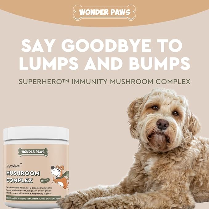 Immune Support Mushroom Powder for Dogs – Organic Mushroom Complex for Immunity, Cognition, Cellular Health, Longevity - With Turkey Tail Mushroom for Dogs, Reishi & Lions Mane – 90 Scoops