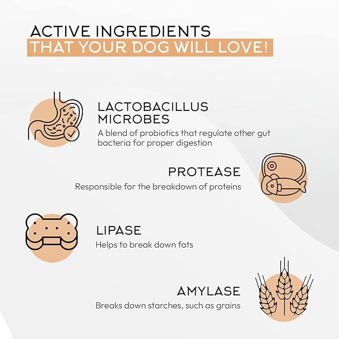 Gnawty Bites Biome Balance | Dog Digestive Support, 120 Soft Chews for Intestinal Balance Support | Dog Probiotics with Amylase, Protease, Lipase, and Lactobacillus | Probiotics for Dogs | (264 G)