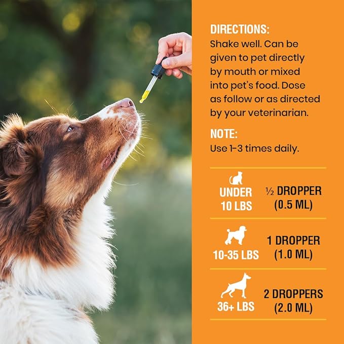10-in-1 Liquid Multivitamin for Dogs and Cats, 4 Ounce Multi Vitamin Supplement, Vitamin for Dogs, Vitamins for Cats, with Glucosamine & Cranberry, 4 oz