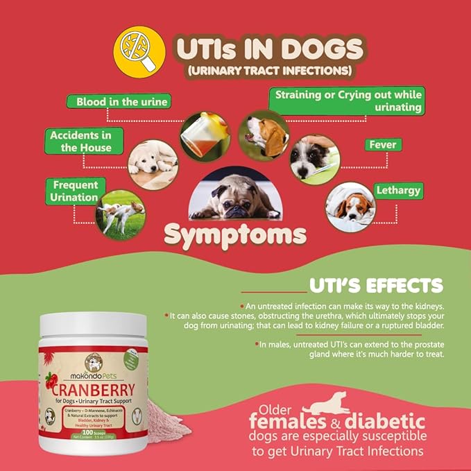 Dog Cranberry Supplement - Natural Dog UTI Treatment & Kidney Support for Dogs. Dog Supplement Powder Same as Cranberry Pills for Dogs. Puppy Supplies for Dog Pee Health - Dog Incontinence Product