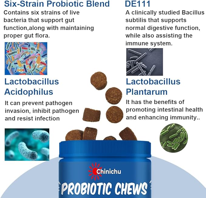 Probiotics for Dogs - Digestive Enzymes for Gut Flora, Digestive Health, Diarrhea & Bowel Support - Dog Supplement Soft Chew for Pet Immune System - Clinically Studied DE111 - Duck Flavor