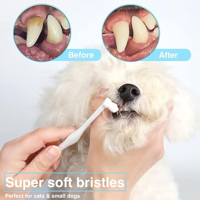 6 Pcs Cat Toothbrush Kitten Toothbrush with Micro Head to fit into Cat/Kittens Mouth, Cat Teeth Cleaning Brushes, Kitty Dental Care Supplies for Cats Pet, Eliminates Bad Breath & Gap Cleaning