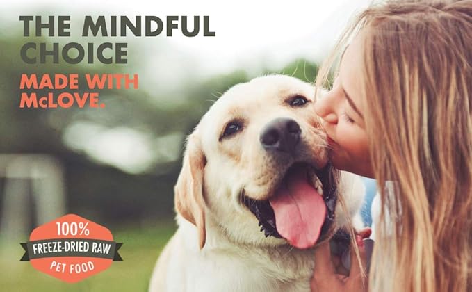 McLovin's Freeze Dried Salmon Treats for Dogs - High-Protein, Grain-Free - All-Natural Healthy Freeze Dried Dog Treats- Made in The USA - Perfect High Value Training Reward – 2×2.5oz(5oz)
