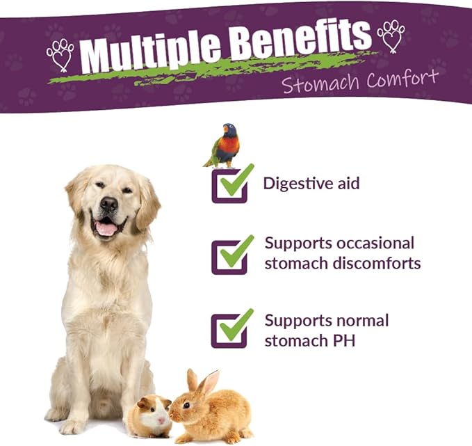 Amber NaturalZ ProTummy Stomach Comfort Herbal Blend for Dogs, Bird, Guinea Pigs, and Rabbits | Herbal Supplement for Occasional Upset Stomach | 1 Fluid Ounce Glass Bottle | Manufactured in The USA