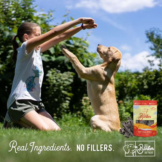 Beg & Barker Beef Liver Jerky for Dogs (10 Ounce, Pack of 1) - Dog Training Treats - Natural Dog Treats Made in The USA - Grain Free, Diabetic-Friendly, High Protein, Sugar-Free