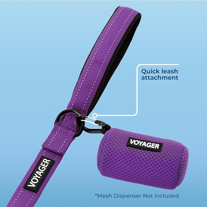 Voyager Reflective Dog Leash with Neoprene Handle, 5ft Long, Supports Small, Medium, and Large Breed Puppies, Cute and Heavy Duty for Walking, Running, and Training - Purple (Leash), L