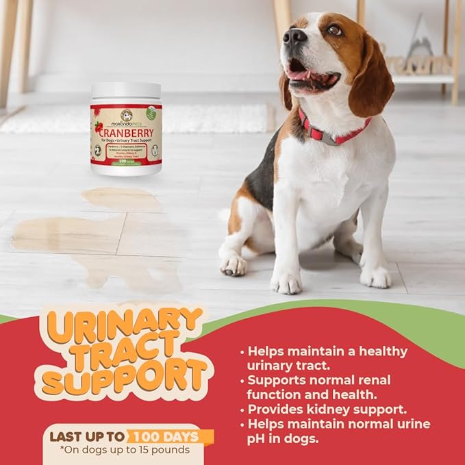 Dog Cranberry Supplement - Natural Dog UTI Treatment & Kidney Support for Dogs. Dog Supplement Powder Same as Cranberry Pills for Dogs. Puppy Supplies for Dog Pee Health - Dog Incontinence Product