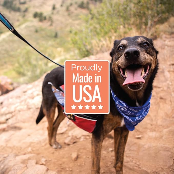 All Natural Dog Treats - Shrimp & Coconut - Training Treats for Dogs with Allergies, Sensitive Stomachs - Soft Dog Treats, Chewy, Grain Free, Human-Grade, Made in USA - 5oz, Pack of 3