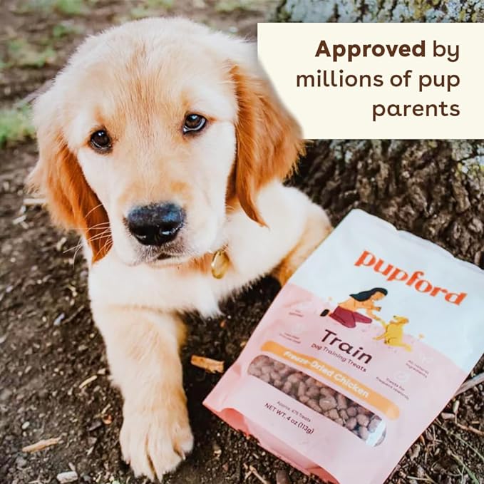 Pupford Freeze Dried Training Treats for Dogs & Puppies, 475+ Two Ingredient Bites (Chicken, 4 oz)