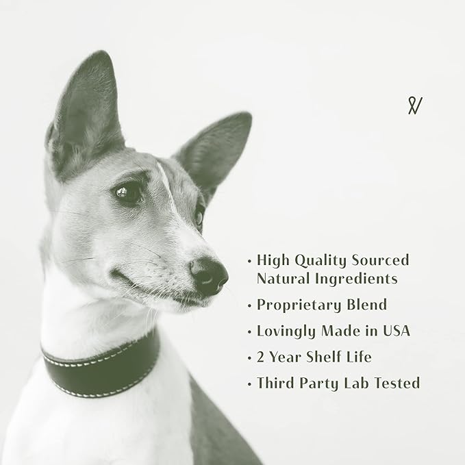 2024 Everpath Upgraded Salmon Oil Omega 3 Boost for Dogs and Cats - 16 Fluid Ounces/473mls | USA Made | Supports Coat, Skin, and Immune System | Norwegian Salmon Oil for Pets | Natural Solution
