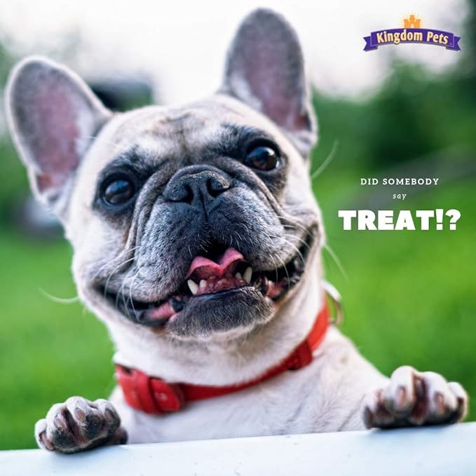 Duck Breast Jerky, Premium Treats for Dogs, 40 oz. Bag