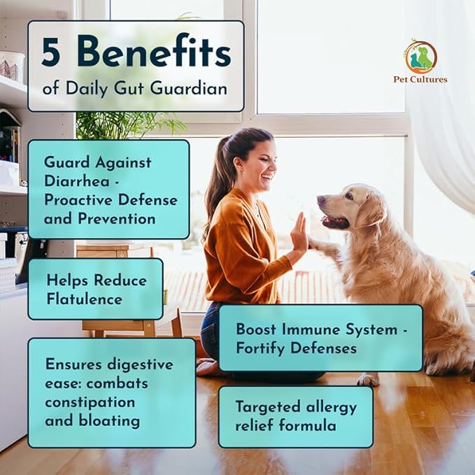 Daily Probiotics for Dogs, Gut Health PRE, PRO, and Post-biotic Powder Supplement with Digestive Enzymes, Dog Probiotics for Digestive Health, 30 Packs