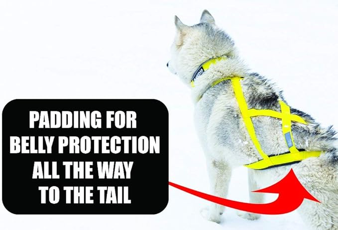 Neewa Sled Pro Harness (XX-Large, Yellow), Dog Pulling Harness, Husky Harness, Mushing Harness, X Back Harness Dog for Dog Exercise, Bikejoring, Skijoring, Dog Sledding, Canicross, Dog Harness