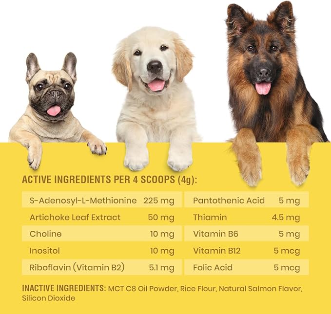 Same for Dogs - S-Adenosyl-L-Methionine, Same Advanced, Liver Support Supplement for Dogs, Brain and Cognitive Support, Sam e for Dogs (120 Grams, 2 Pack)