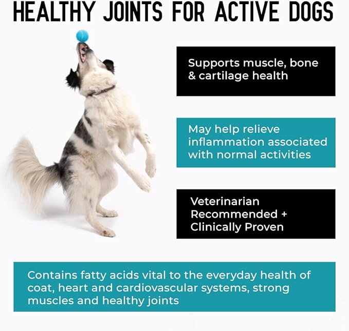 Hip + Joint Supplement with Glucosamine, MSM, Omega 3s, and Turmeric, Normal Inflammatory Response, Antioxidants, Made in USA, For Dogs , 75 ct