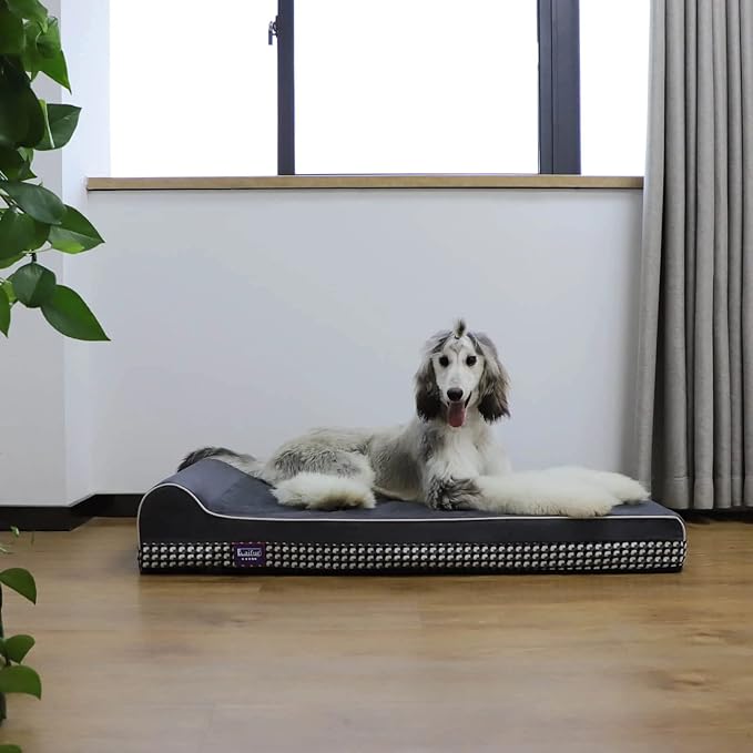 Laifug Orthopedic Memory Foam Dog Bed with Pillow and Durable Water Proof Liner & Removable Washable Cover & Smart Design Medium (34"x22"x7"), Slate Grey
