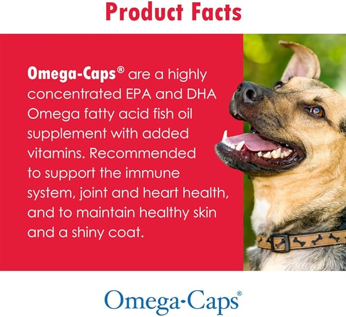 Omega-Caps Extra Strength for Large Breeds-Vet Formulated for Healthy Radiant Skin & Coat While Reducing Excess Shedding. Contains Omega 3 for Immune System Support, Easy to Dose, 60 Soft Gel Capsules