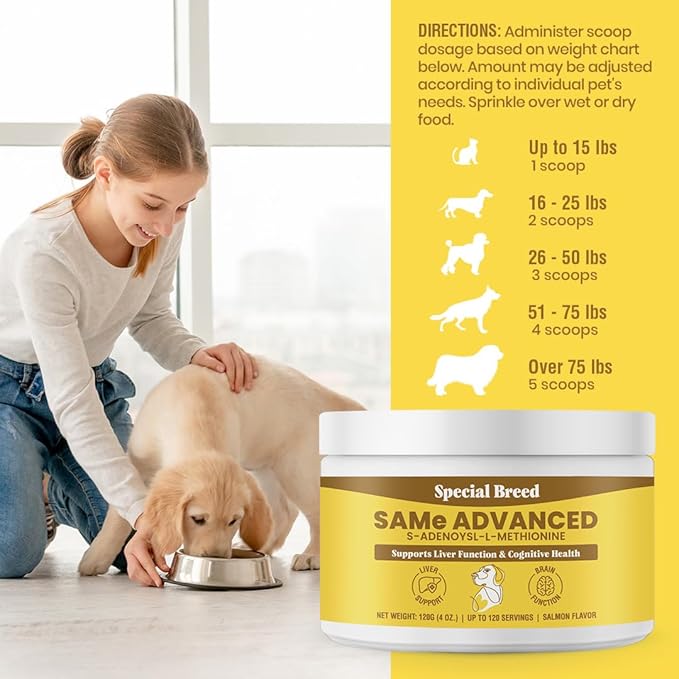Same for Dogs - S-Adenosyl-L-Methionine, Same Advanced, Liver Support Supplement for Dogs, Brain and Cognitive Support, Sam e for Dogs (120 Grams, 2 Pack)