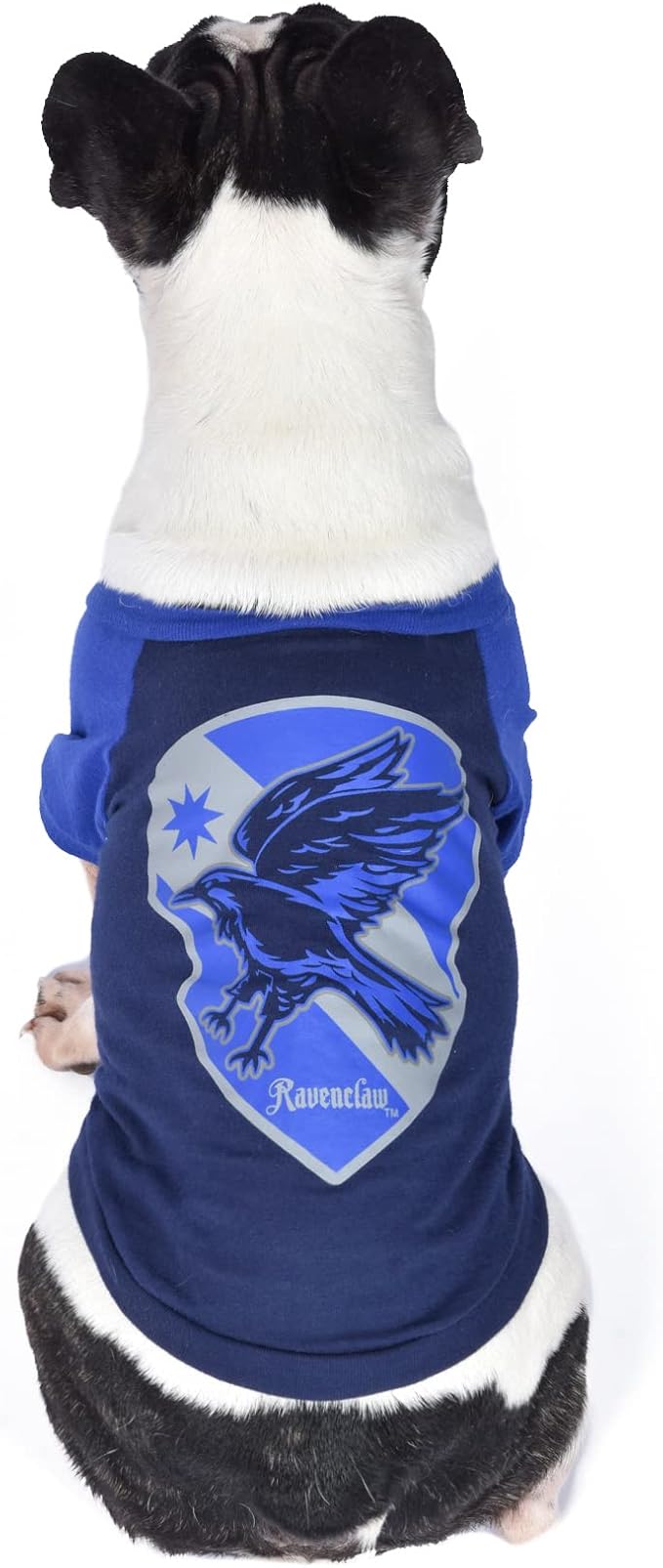 Harry Potter Ravenclaw Pet T-Shirt in Size Extra Large | XL Dog T-Shirt, Harry Potter Dog Shirt | Harry Potter Dog Apparel & Accessories for Hogwarts Houses, Ravenclaw Blue