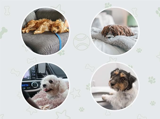 COCOYO Dog Training Pads丨Carbon Absorb Eliminating Urine Odor Puppy Pads丨Premium Charcoal Dog Pee Pads (100 Count, 17.5x23.5 inch)