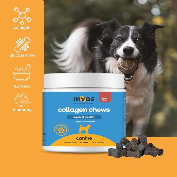 MYOS Canine Muscle & Mobility Chews – Natural Collagen & Glucosamine for Dogs - Bacon Flavor Joint Supplement for Muscle, Bone & Joint Support, 60 Count