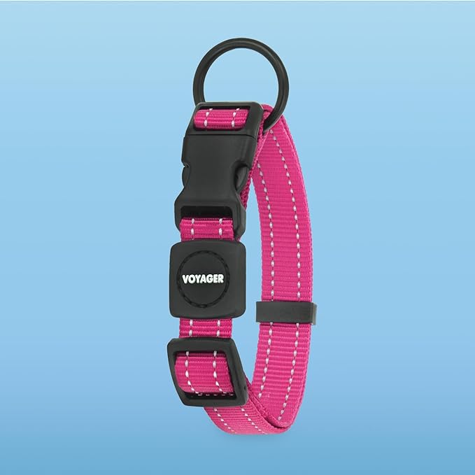 Voyager Reflective Dog Leash Collar Set with Neoprene Handle Supports Small, Medium, and Large Breed Puppies, Cute and Heavy Duty for Walking, Running, and Training - Fuchsia, M