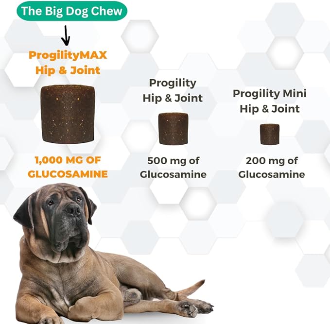 Nootie ProgilityMAX Hip & Joint Supplement for Large Dogs, Maximum Strength Dog Joint Support with Eggshell Membrane, Glucosamine and Chondroitin, 60 count