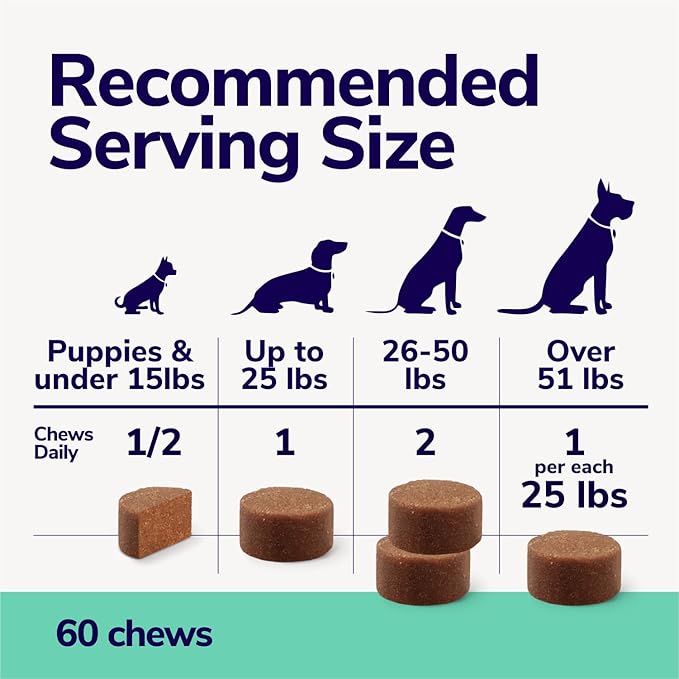 Probiotics for Dogs | Soft Dog Probiotics and Digestive Enzymes for Diarrhea, Gut Health, Itching Skin, Licking Paws | 60 Dog Probiotic Chews | Dog Health Supplies, Pet Supplies for Dogs