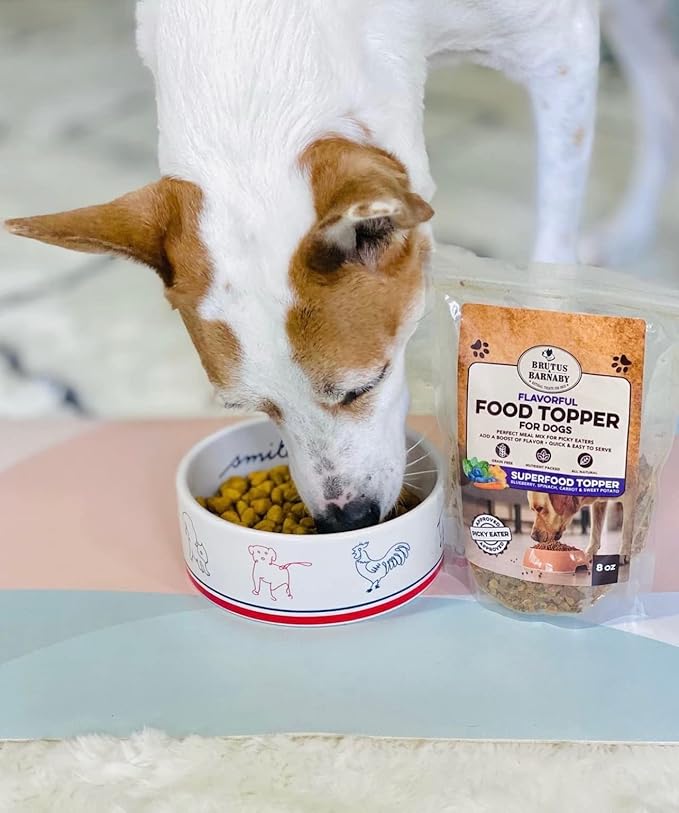 Dog Food Topper - Super Foods - Enhance Your Dogs Meal With This Healthy Vegan Flavor Packed Mix - Sprinkle On Dog Food Flavoring for Picky Eaters - Blueberries, Carrots, Spinach, Sweet Potato - 16oz
