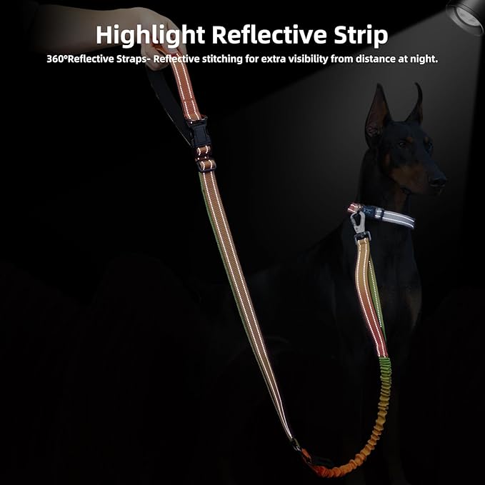 Roses&Poetry Dog Running Leash Hands Free,No Pull Bungee Dog Running Waist Leash for Walking Training with Car Seatbelt 4-6FT