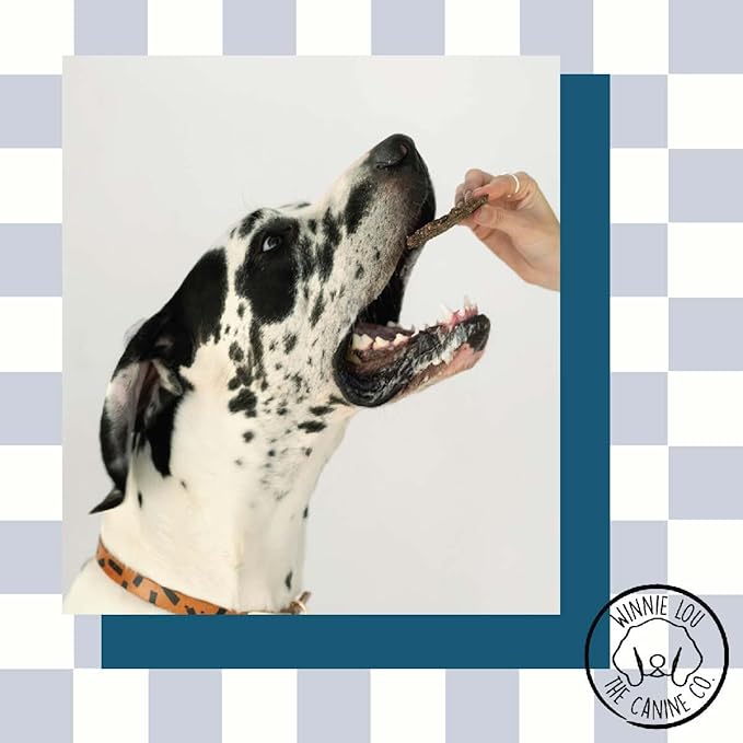 Winnie Lou Jerky Organic Jerky Dog Treats Made in The USA Human Grade Dog Treats Dog Jerky Treats All Natural Dog Treats Healthy Dog Treats (Elk Jerky 2 Pack)