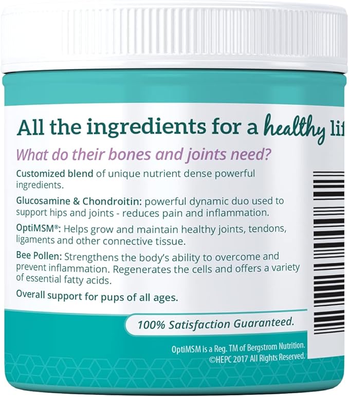 Health Extension Chondroitin with Glucosamine for Dog, Arthritis Pain Relief Vitamin, Joint & Hip Supplement Cheese Flavored Powder, Suitable for All Types of Puppies & Dogs, (8 Oz / 226 g)