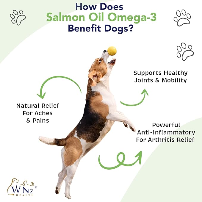Hemp & Turmeric Hip and Joint Chews for Dogs - Dog Hemp Chews for Pain Relief & Arthritis - Anti-inflammatory Hemp Dog Treats w/MSM, Hemp Oil, Glucosamine and Chondroitin for Dogs 60 Chews, 8 Oz