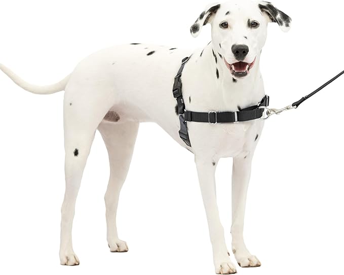 PetSafe Easy Walk No-Pull Dog Harness - The Ultimate Harness to Help Stop Pulling - Take Control & Teach Better Leash Manners - Helps Prevent Pets Pulling on Walks - Medium/Large, Charcoal/Black