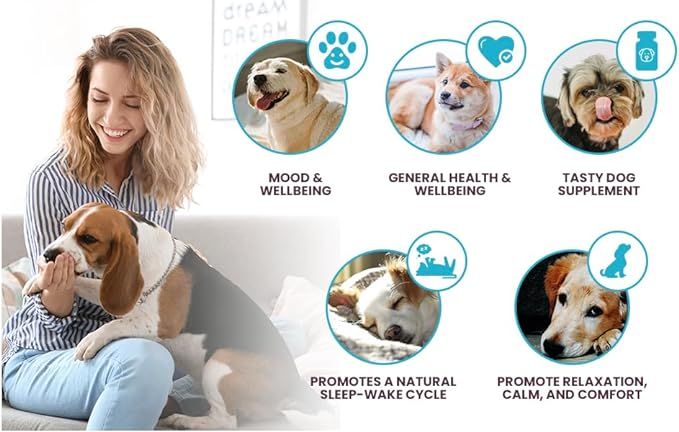 Milk Thistle for Dogs, 100mg - 60 Beef Flavored Tablets - Canine Liver Health Natural Milk Thistle Supplement - Liver Supplement - Liver Support Supplement - Milk Thistle Herbal Supplements