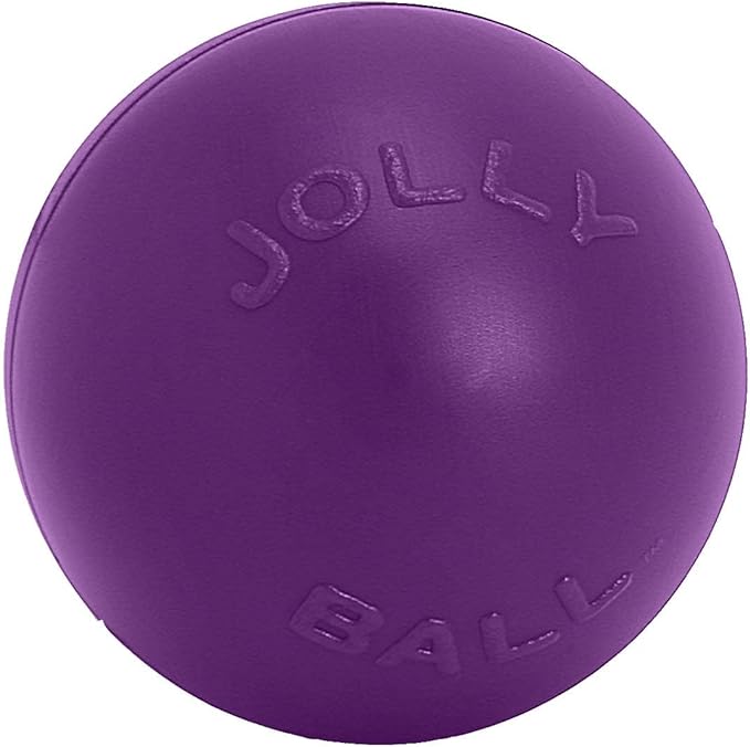 Jolly Pets Push-n-Play Ball Dog Toy, 10 Inches/Large, Purple