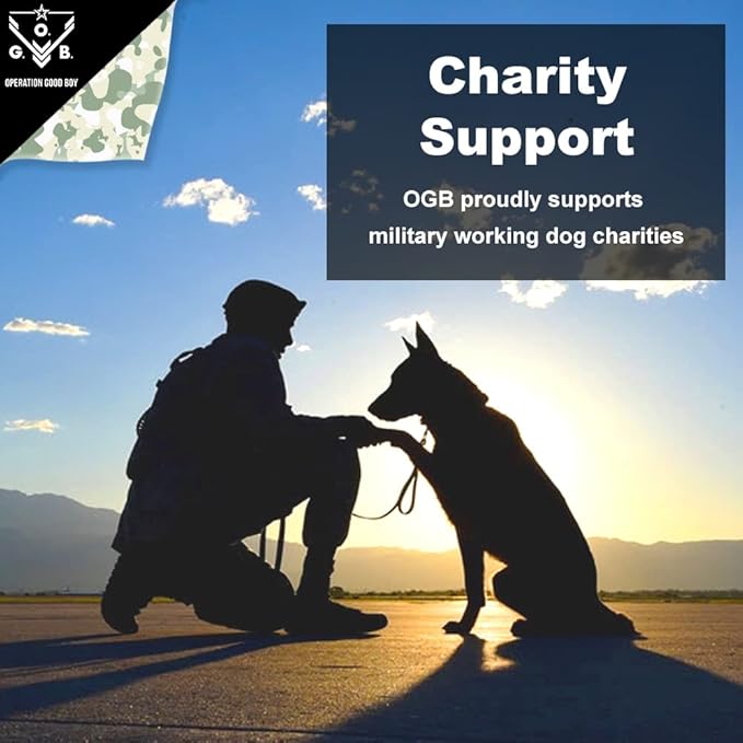 Operation Good Boy Dog Treats - Beef Jerky Strips Bang Bang Beef | Natural, Farm-Raised Meat - Vet-Formulated AAFCO approved ingredients | Perfect Training Treats for Medium to Large Dogs