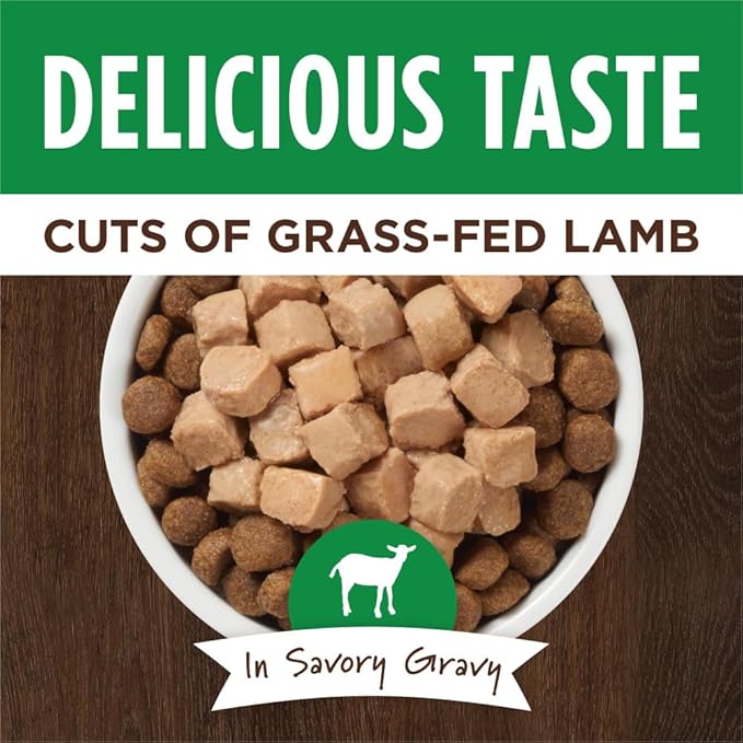 Instinct Healthy Cravings Grain Free Real Lamb Recipe Natural Wet Dog Food Topper, 3 oz. Pouches (Case of 24)