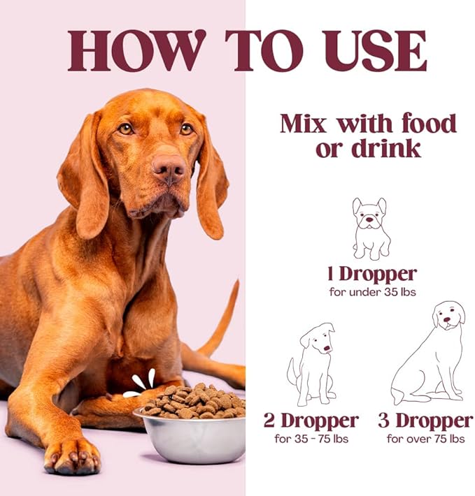 Kidney Support for Dogs - Kidney Support for Cats & Dogs - Vet Approved Dog Kidney Support - Kidney Detox Dog Liver Supplement - Adrenal Support for Dogs -Healthy Kidney Dog Food Additive
