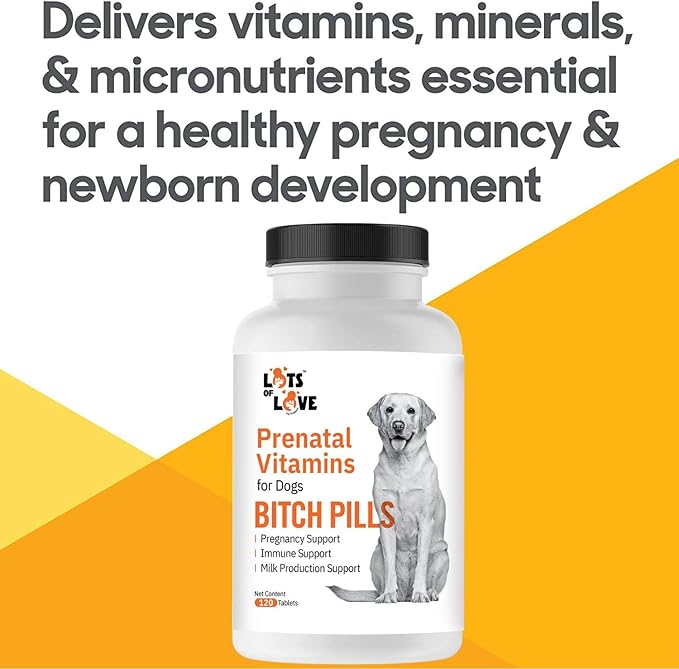 Bitch Pills | Dog Prenatal Vitamins | Prenatal Vitamins for Dogs | Prenatal for Dogs | Thomas Pet Earlier | 120 Tablets
