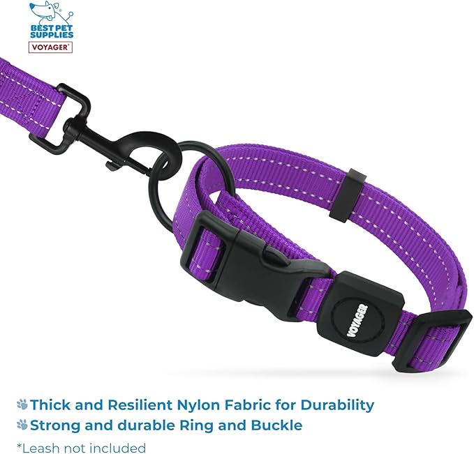 Best Pet Supplies Reflective Dog Collar with Adjustable Length, Heavy-Duty Buckle, and Strong Leash D-Ring, Training, Walking, Jogging Accessory for Small, Medium, and Large Breeds - Purple, M