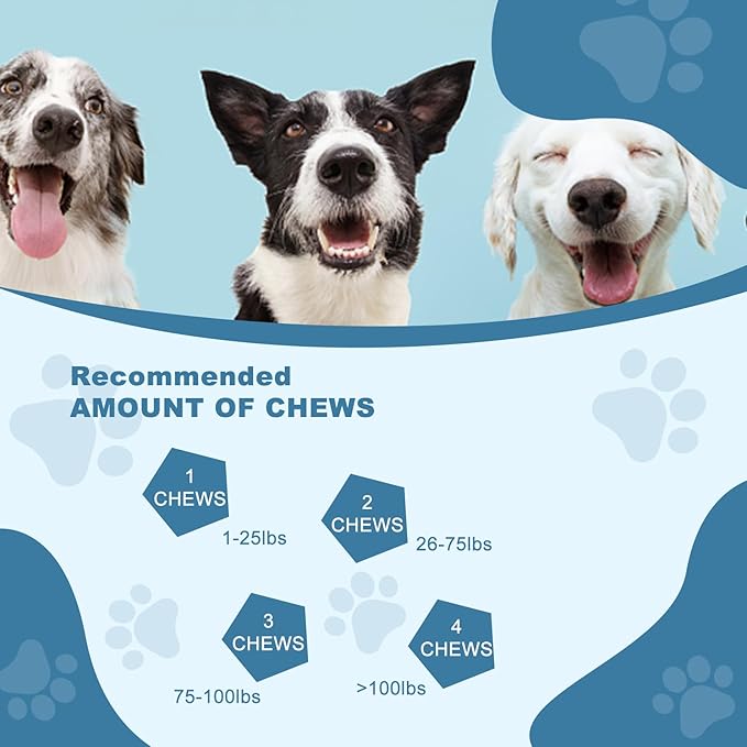 Probiotics for Dogs, Dog Probiotics for Yeast Infection, Itchy Skin and Itchy Ears, Gut Health for Dogs Pet Probiotics Chews Diarrhea Treatment Enzymes treats Digestive Health Stomach Relief