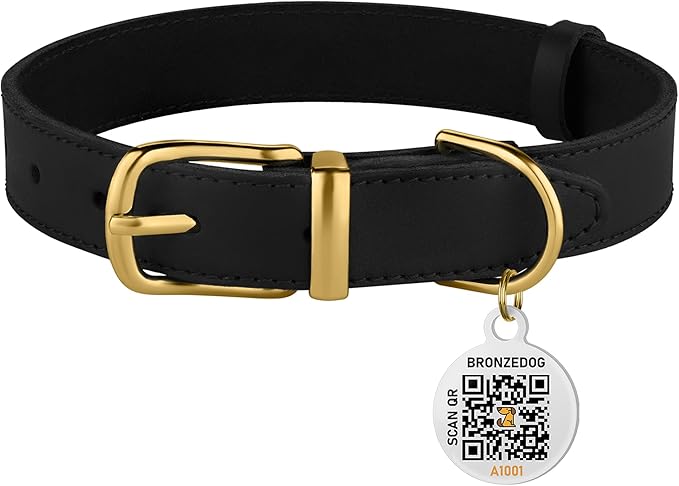 BRONZEDOG Leather Dog Collar with Metal Buckle Durable Basic Pet Collars for Small Medium Large Dogs (13-16 Inch (Pack of 1), Black & Gold Buckle)